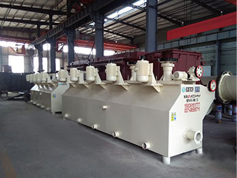 gold flotation plant